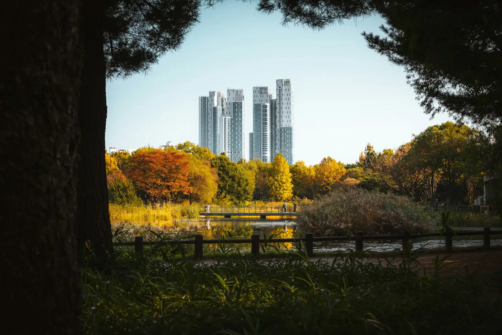 The Seoul Forest pond in autumn, with Seongsu's towers behind the trees.